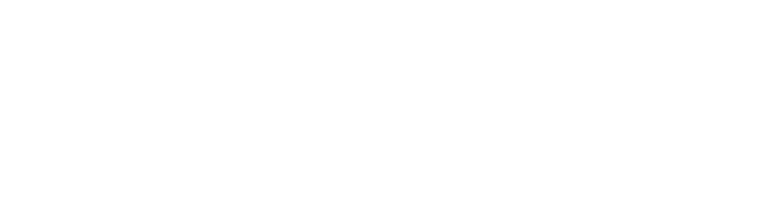 logo navilette-bianco